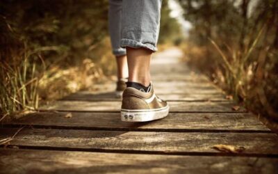 Why Daily Walks Should Be Your New Routine