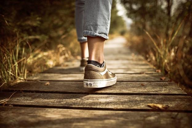 Why You Should Take Walks Everyday 